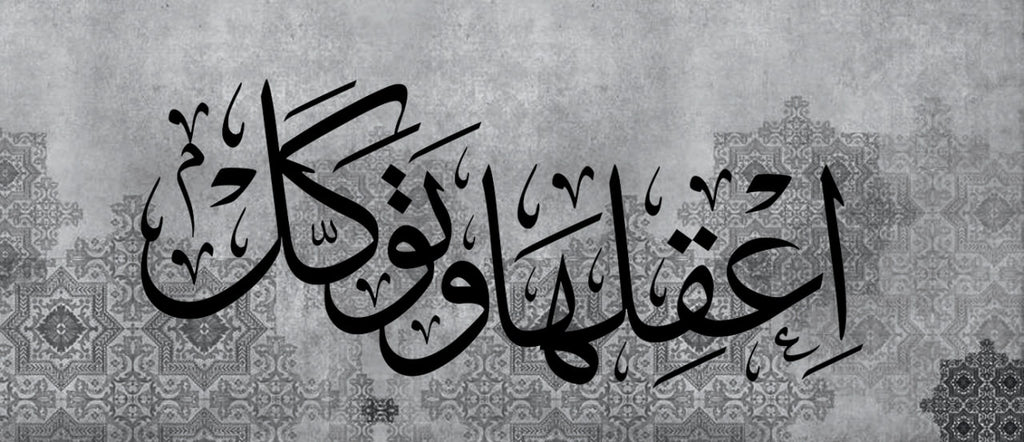Exclusive  -اعقلها وتوكل