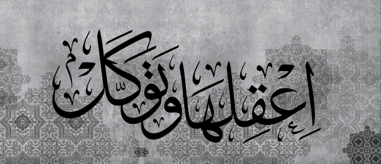 Exclusive  -اعقلها وتوكل